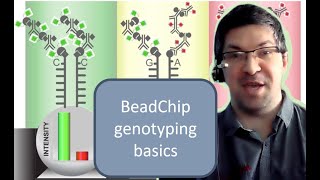 Illumina BeadChip genotypes  The basics [upl. by Olson]