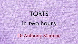 Tort Law in Two Hours [upl. by Neelrahs479]