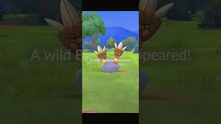 Uncover Binacle Spotlight Hour Secrets  Pokémon GO Ultimate Guide [upl. by Fasta]