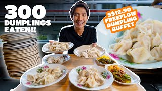 1290 DUMPLING BUFFET DESTROYED  300 DUMPLINGS EATEN  Cheapest Dumpling Buffet in Singapore [upl. by Nelrah]