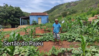 UMA PALESTRA COM SEU CLÓVIS PLANTADOR DE ABÓBORA E JERIMUM NO MUNICÍPIO DE TRIUNFO SERTÃO DO PAJEÚ [upl. by Acinaj]