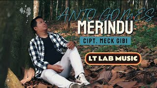 ANTO GOMES  MERINDU  OFFICIAL MUSIC VIDEO  LAGU BARU 2024 [upl. by Ahsikahs]