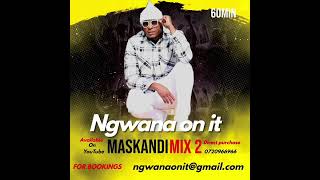 Ngwana on it  Maskandi mix 2 [upl. by Seena]