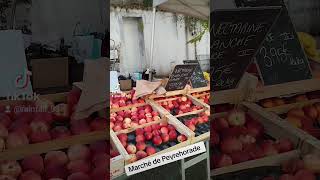 marché de Peyrehorade dans les landes [upl. by Ettenoj]