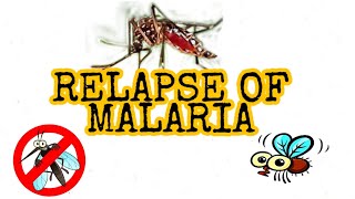 RELAPSE OF MALARIA  HYPNOZOITE  Exoerythrocytic cycle of Malaria  EASY AND SIMPLIFIED [upl. by Ynaffik]