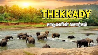 Thekkady Kerala  Things to do in Thekkady  Exploring Kerala [upl. by Eirol]