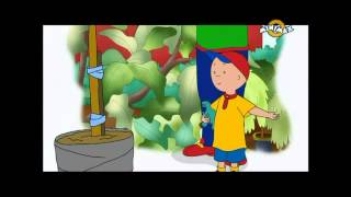 Caillou sorozat  Caillou fája [upl. by Almita]