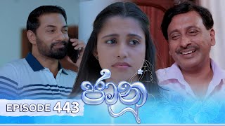 Jaanu  Episode 443  20241105  ITN [upl. by Melvina]