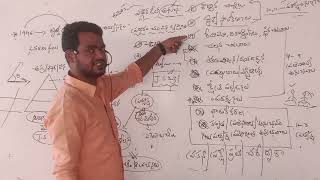 TODAY SA BIOLOGY method class by state fame faculty Nagarju Yadav sir Pauls brilliant coaching [upl. by Parrish]