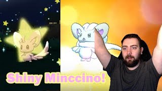 quotFINALLY THATS OVERquot  Shiny MinccinoCinccino Reaction  Pokemon USUM [upl. by Grunberg]