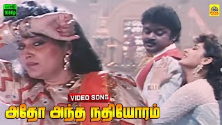 Adho Antha Nadhiyoram Video Song  Vijayakanth  Jeyaprada  Ezhai Jathi  Ilaiyaraja  Stereo [upl. by Mcdermott]