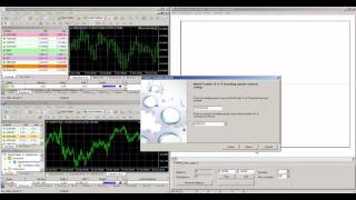 Connection of MT4 trading terminal to Megatrader [upl. by Atilek]