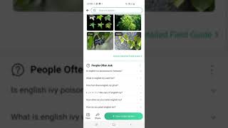 Best App For Identifying Plants [upl. by Martine]