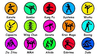 Every Martial Art Type Explained in 12 Minutes [upl. by Aizirtap887]