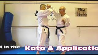 Gankaku Bunkai Strategies 2023 week 47 koryu karate oyo jutsu [upl. by Hgielra329]