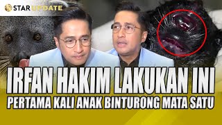 IRFAN HAKIM LAKUKAN INI PERTAMA KALI ANAK BINTURONG LAHIR DENGAN MATA SATU  STAR UPDATE [upl. by Eca266]