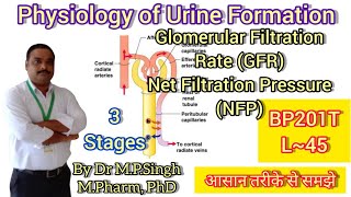 Physiology of Urine Formation  Glomerular Filtration Rate GFR  HAPII  L45 [upl. by Barbie]