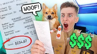 Letting MY DOG Decide What i Eat For 24 HOURS IMPOSSIBLE FOOD CHALLENGE [upl. by Wun874]