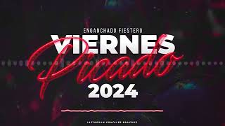 🔥⚡VIERNES PICADO 2024⚡🔥 VERANO 2024  Enganchado Fiestero  Alee Bravo OK [upl. by Nawd]