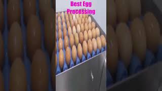 Egg cartoon । Eggsmr । Eggs bacon grits sausage। Egg processing factory India । Quail egg Production [upl. by Rochus]