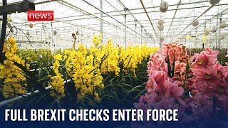 New checks for UK food and agriculture imports from 31 January  Brexit [upl. by Ashli609]