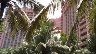 Bahamas Atlantis Live Video [upl. by Agnot]