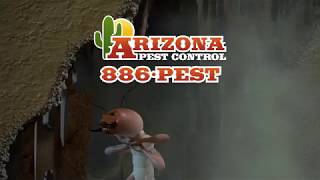 Arizona Pest Control  Got Termites [upl. by Alphonso]