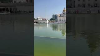 Gurudwara at Delhi youtubeshortsshortsdelhi [upl. by Beaston111]