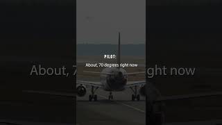 Pilot Error pilot airport atc airtrafficcontrol radio funny shorts shortvideo plane 2024 [upl. by Rapsac670]