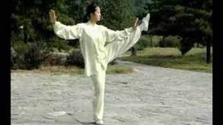 Tai Chi 42 Forms Part 3 Demo [upl. by Kerrison336]