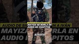 AUDIO de la MAYIZA Retan A Chapitos🇲🇽shorts mexico narcos [upl. by Widera663]