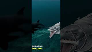 Sea Monsters Size Comparison 3D 2024  Extinct Sea Monsters Size Comparison  3D Comparison 2024 [upl. by Ahsinahs]