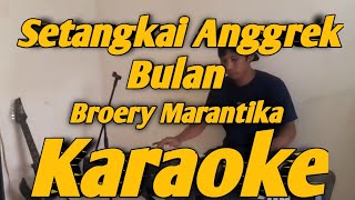 Setangkai Anggrek Bulan Karaoke Broery Marantika Versi Bosanova KORG PA700 [upl. by Ecydnarb]