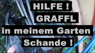 GRAFFL Haufen in meinem Garten HILFE [upl. by Claudetta641]