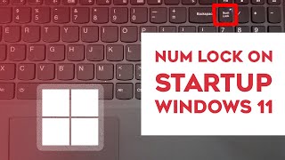 Enable Numlock on Startup Windows 11  How to Keep Num Lock on Permanently [upl. by Louis]