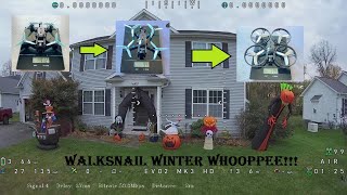 Evo3 Twig GPS mod Walksnail Pro Starlight Winter Whooppee [upl. by Krum]