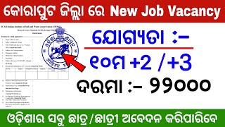 New Job Vacancy in Koraput District  Apply all Odisha Students [upl. by Pillihp428]