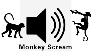 Monkey Scream Sound [upl. by Simeon]