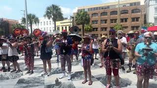 Star Spangled Banner  Piccolo Spoleto Festival 2024 [upl. by Millard]