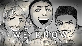 We Know Hamilton Animatic [upl. by Ennagroeg]