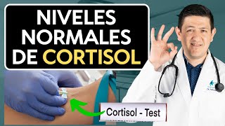 ¿Cortisol causa diabetes Descubre el nivel exacto [upl. by Eendys]