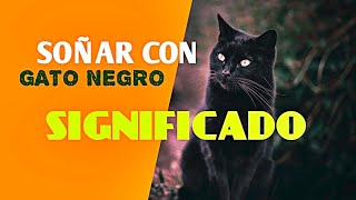 SOÑAR CON GATO NEGRO su significado  kimono rojo [upl. by Karas]