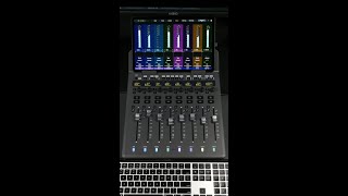 You Can with EUCON Control plugins with faders on the Avid S1 [upl. by Analahs]