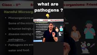 Harmful Microorganisms  microorganisms  Friend and Foe  class 8 science chapter 2 [upl. by Steel]