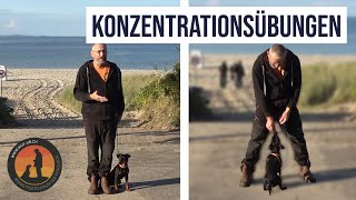 Gehorsamsübungen unter Ablenkung vorgeführt am Badestrand „Surendorf“ an der Ostsee  HS UB [upl. by Ojadnama]