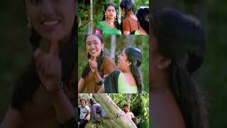 പെണ്ണിന്നു വലിയ ഫോമിൽ ആണല്ലോ Vellithira Movie  Prithviraj  Navya Nair  Kalabhavan Mani [upl. by Hrutkay]