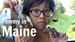 Tasting Moose Poop  Emmy in Maine  tasting haul [upl. by Tenej]