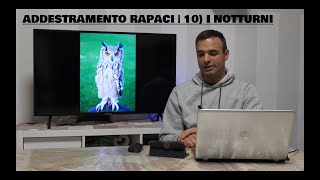 COME ADDESTRARE I RAPACI  10 I notturni più utilizzati [upl. by Astor503]