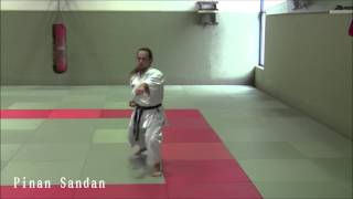 Pinan Series  Ryukyu Shorin Ryu Karate Do Tesshinkan [upl. by Eiramlatsyrk]