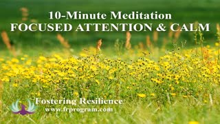 10Minute Meditation  Fostering Resilience with Focused Attention and Calm  Dr KJ Foster [upl. by Fridlund149]